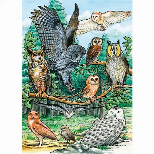 North American Owls - Tray Puzzle | Jigsaw - Image 1