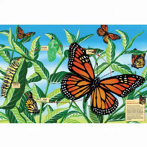 Floor Puzzle: Life Cycle of a Monarch Butterfly | Jigsaw - Image 1
