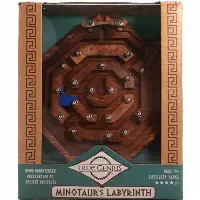 Minotaur's Labyrinth Puzzle
