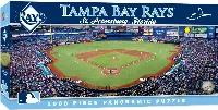 MasterPieces Stadium Panoramic Tampa Bay Rays MLB Sports Jigsaw Puzzle - Center View - 1000 Piece