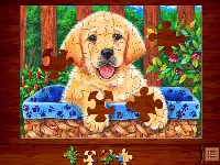 Jigsaw Puzzles