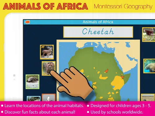 Montessori Animals of Africa - Image 1