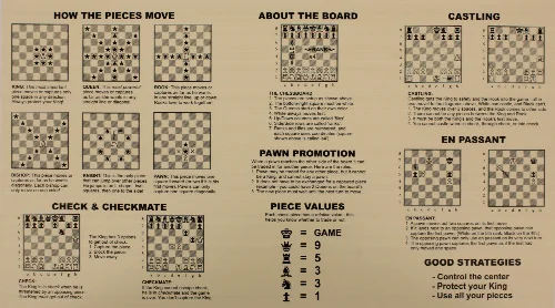 The Chess Rules Teaching Companion - Image 1