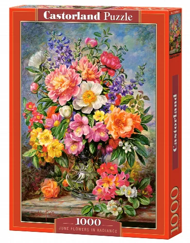 Castorland June Flowers in Radiance Jigsaw Puzzle - 1000 Piece - Image 1