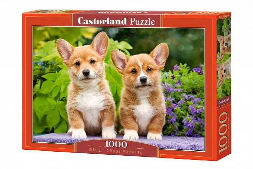 Castorland Welsh Corgi Puppies Jigsaw Puzzle - 1000 Piece - Image 1