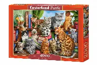 Castorland House of Cats Jigsaw Puzzle - 2000 Piece