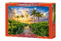 Castorland Colorful Sunrise in Miami, USA Jigsaw Puzzle - 3000 Piece