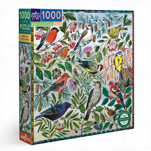 eeBoo Birds of Scotland Jigsaw Puzzle - 1000 Piece - Image 1