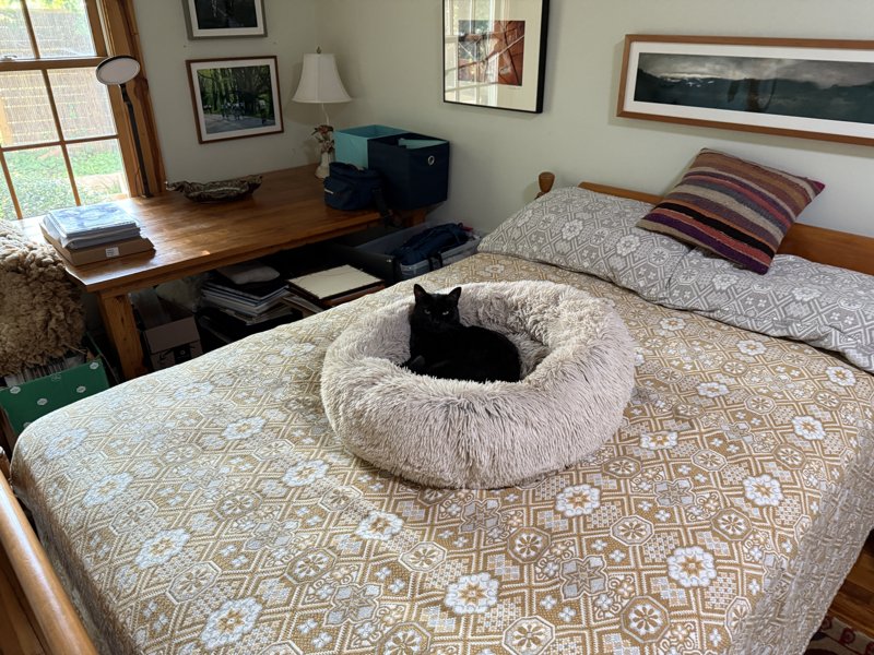 Quo