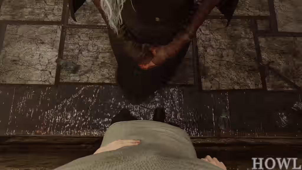 Dark Souls (Series) Rule 34 Video