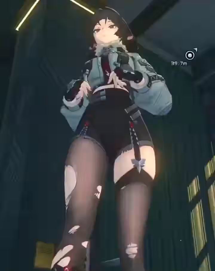 Jane Doe (Zenless Zone Zero) Rule 34 Video