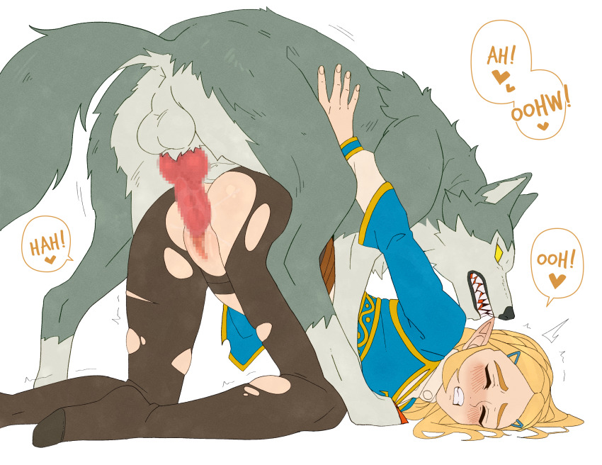 Princess Zelda (Nintendo) Rule 34 Image
