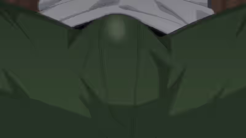 Hiro (Kemonokko Tsuushin) Rule 34 Image