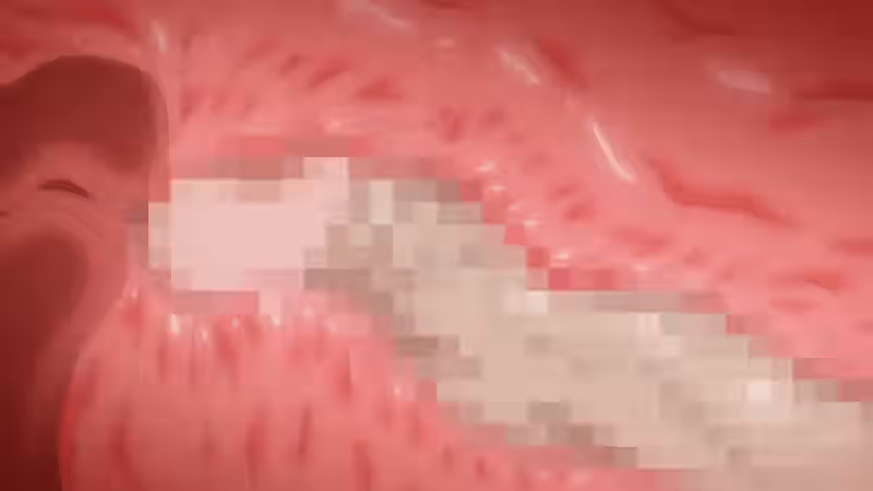 Leo (Majo Wa Kekkyoku Sono Kyaku To) Rule 34 Image