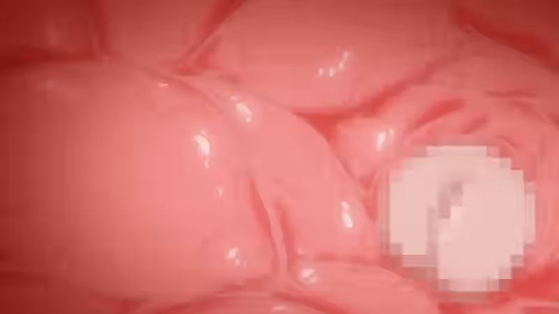 Leo (Majo Wa Kekkyoku Sono Kyaku To) Rule 34 Image