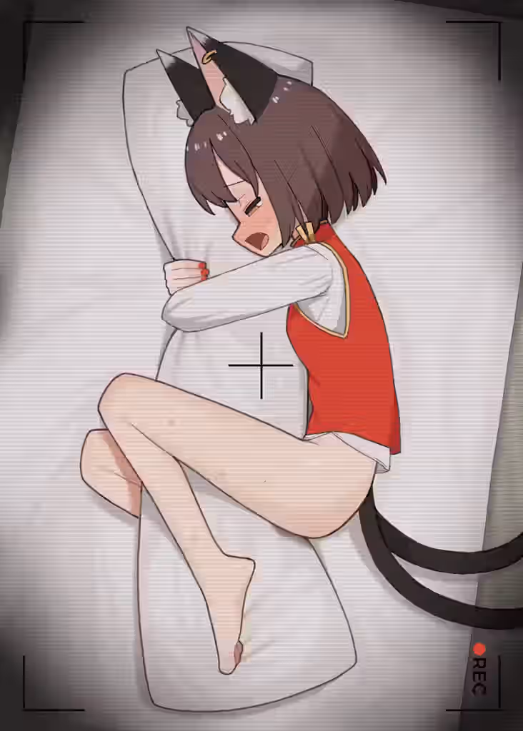 Dakimakura (Object) Rule 34 Video