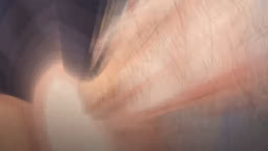 T-Rex (Animation Studio) Rule 34 Video