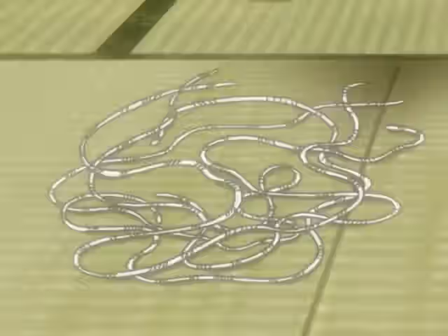 Animated Rule 34 Video