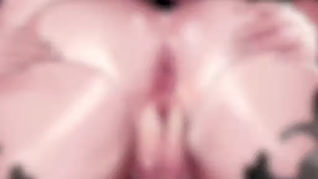 Fate (Series) Rule 34 Video