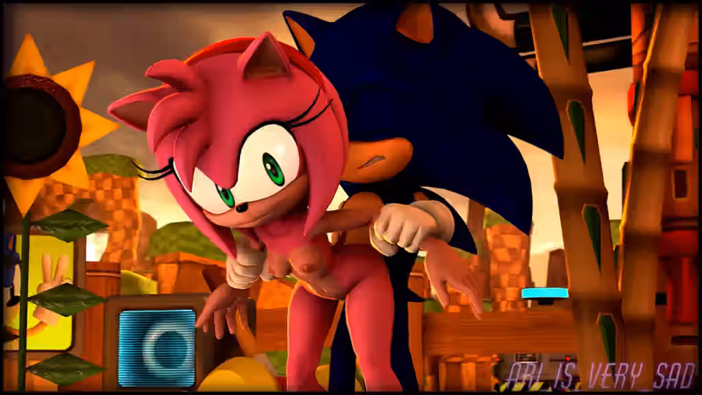 Sonic (Series) Rule 34 Video