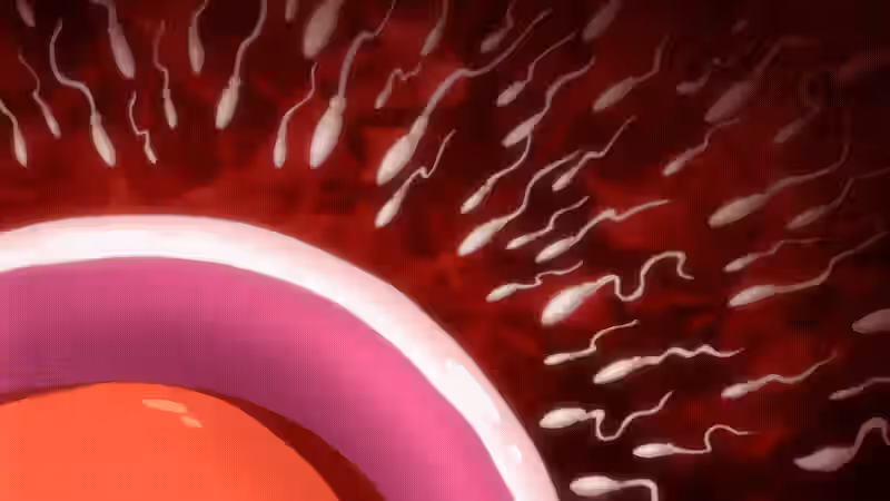 T-Rex (Animation Studio) Rule 34 Image