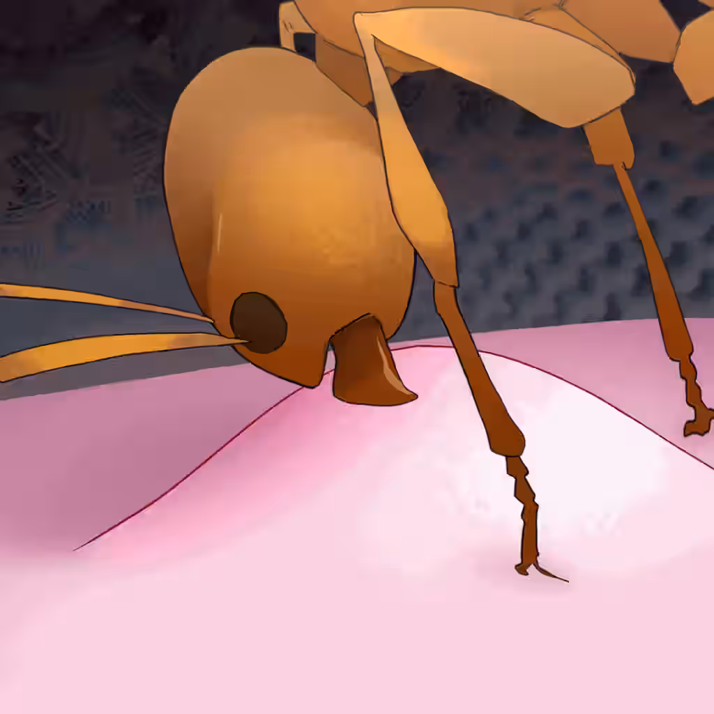 Animated Rule 34 Video