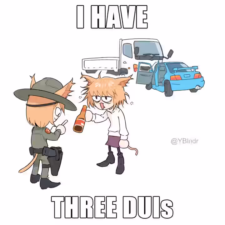 Image Macro (Meme) Rule 34 Video