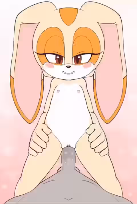 Sonic (Series) Rule 34 Video
