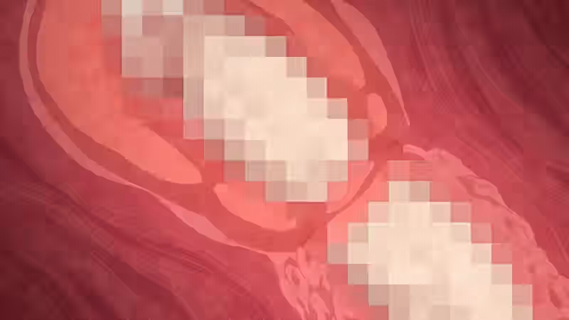 Kurenai (Shikkoku No Shaga) Rule 34 Image