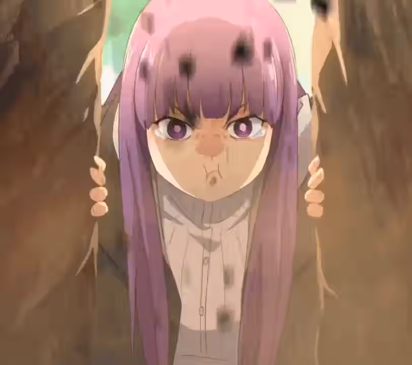 Fern (Sousou No Frieren) Rule 34 Video