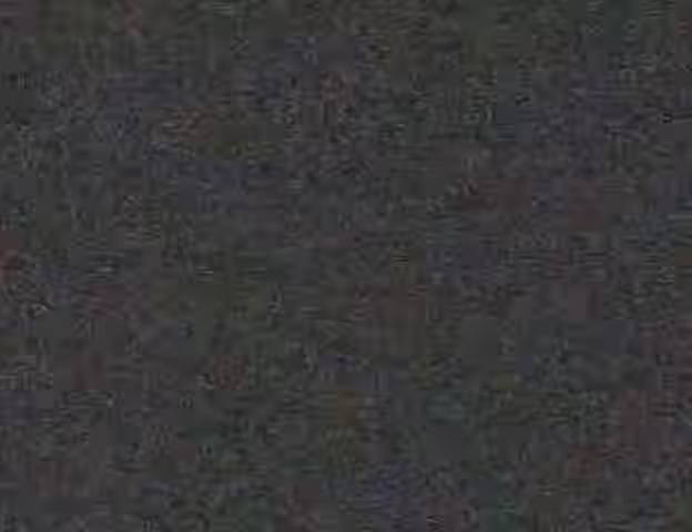 Animated Rule 34 Video