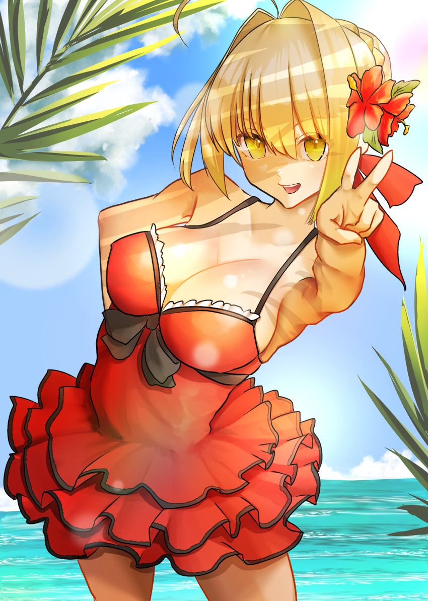 Nero Claudius (Fate) Rule 34 Image