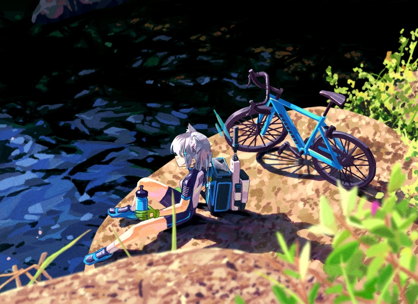 Shiroko (Blue Archive) Rule 34 Image