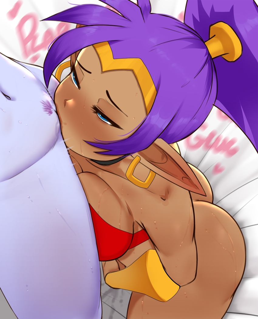Risky Boots (Shantae) Rule 34 Image