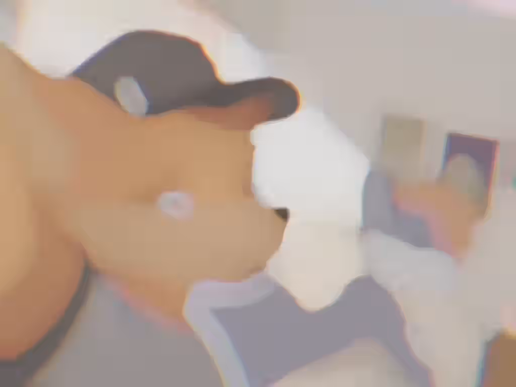 2d (Artwork) Rule 34 Video