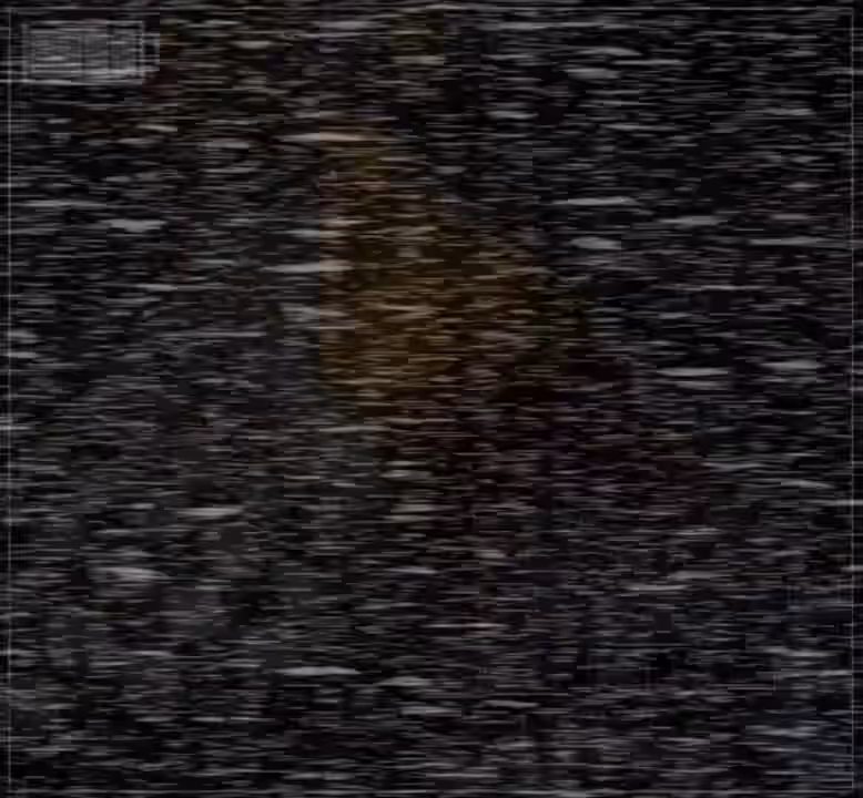 3d (Artwork) Rule 34 Video