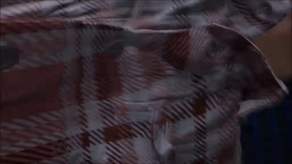 1girls Rule 34 Video