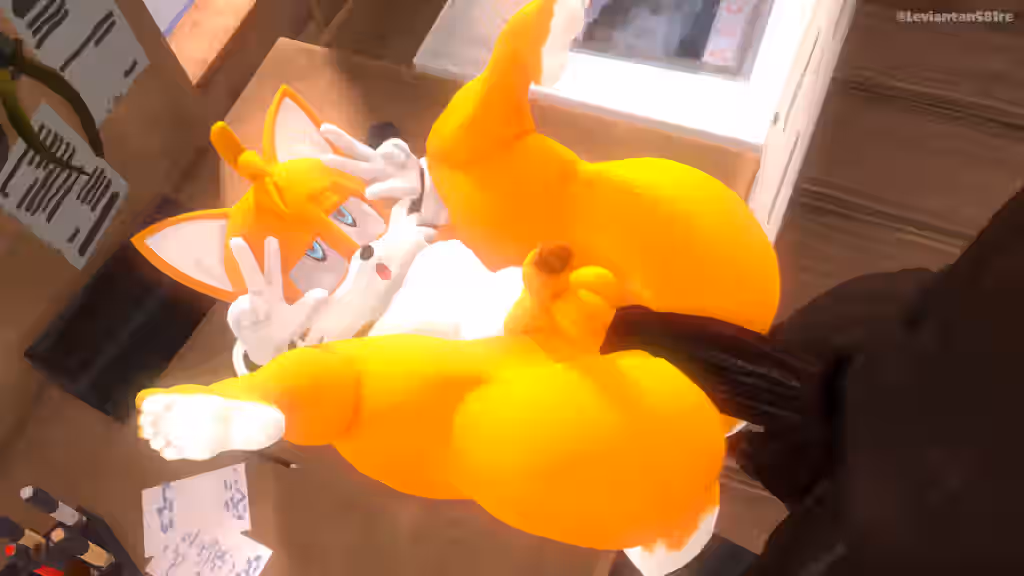 Sonic (Series) Rule 34 Video
