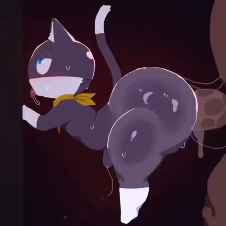Morgana (Persona) Rule 34 Video