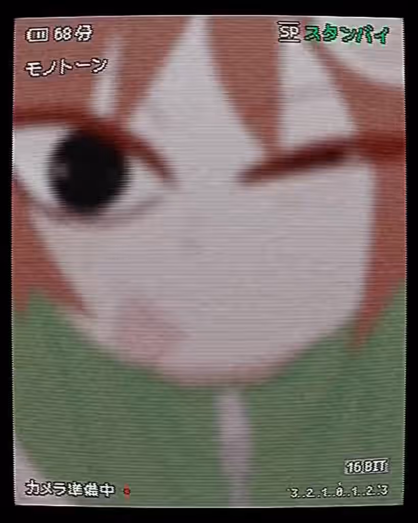 1animal Rule 34 Video