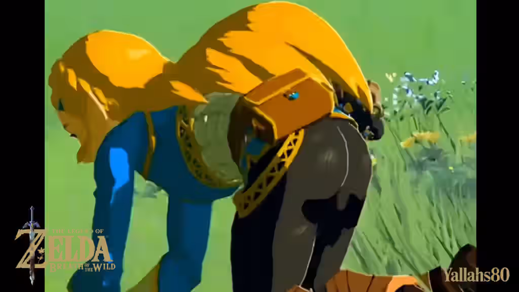 Zelda (Breath Of The Wild) Rule 34 Video