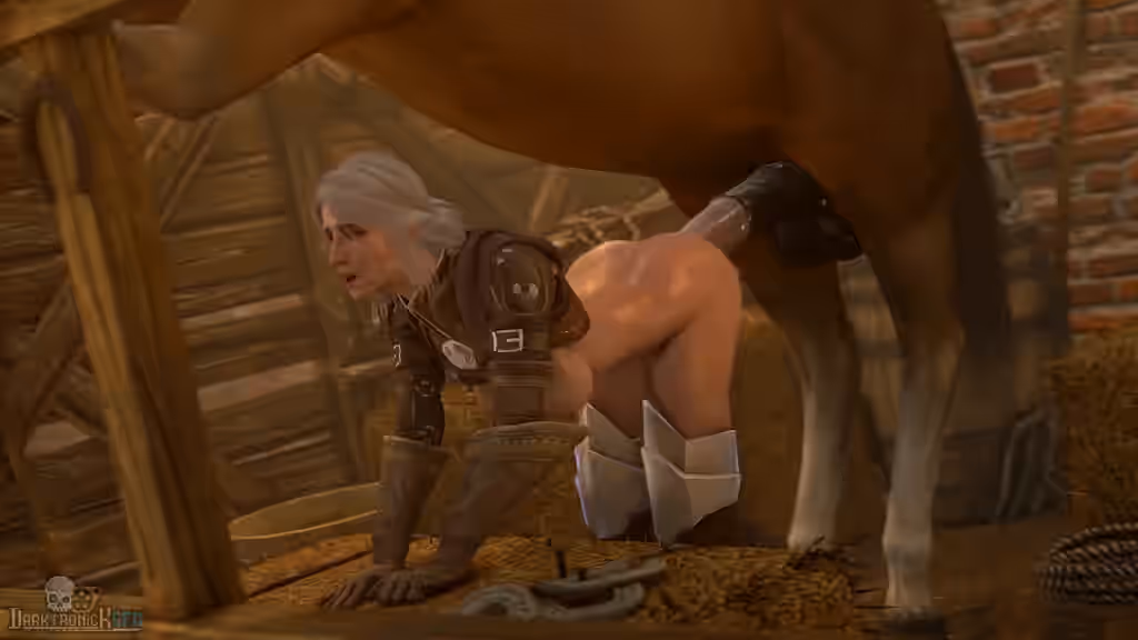 The Witcher (Series) Rule 34 Video
