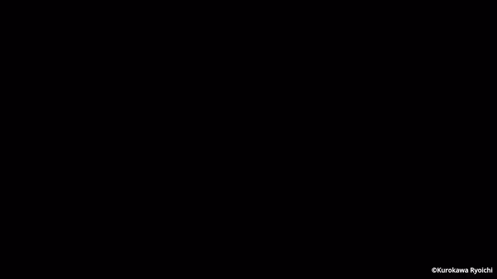 2d (Artwork) Rule 34 Video