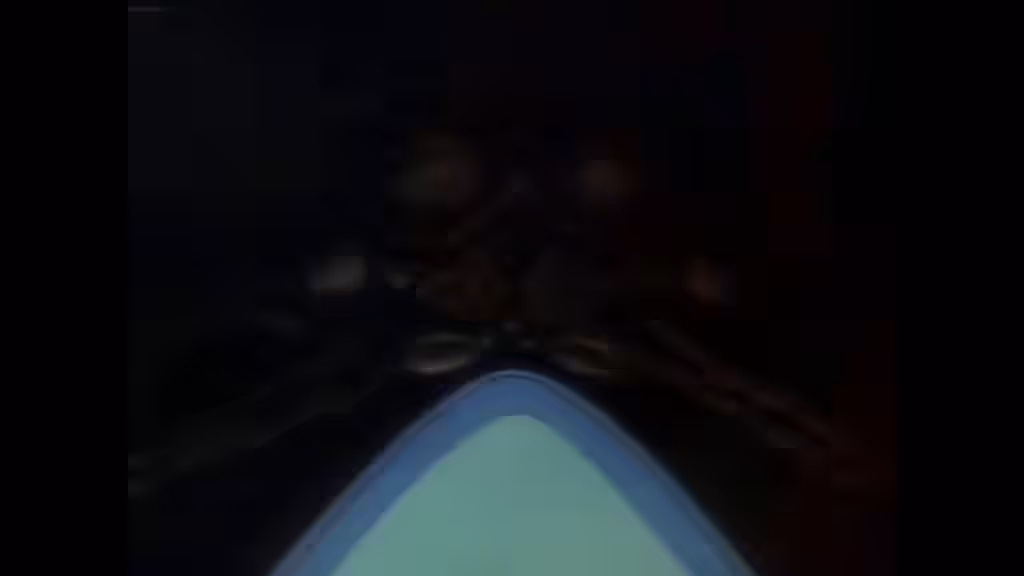 1futa Rule 34 Video