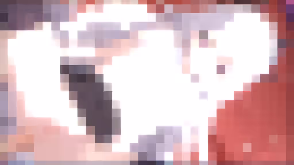 Hina (Blue Archive) Rule 34 Video