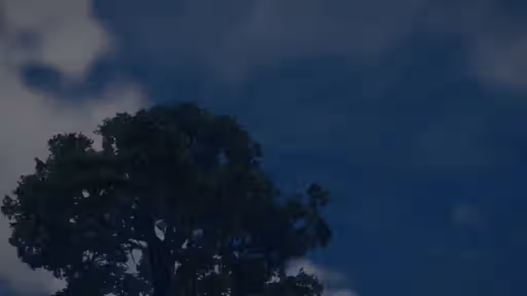Rex (Xenoblade) Rule 34 Video