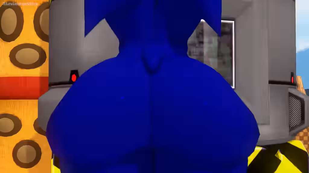 Sonic (Series) Rule 34 Video