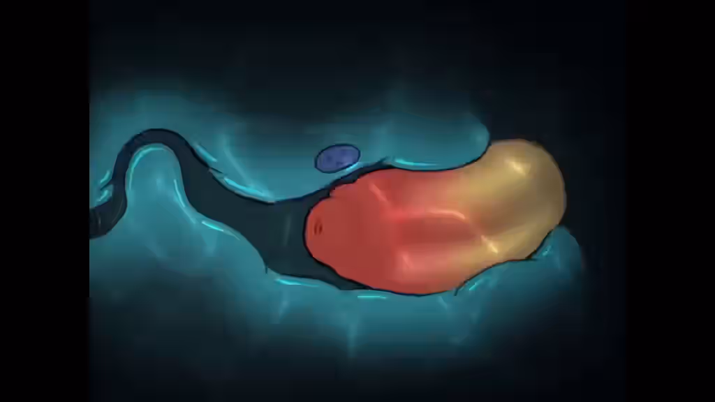 Anal Mating Press Rule 34 Video