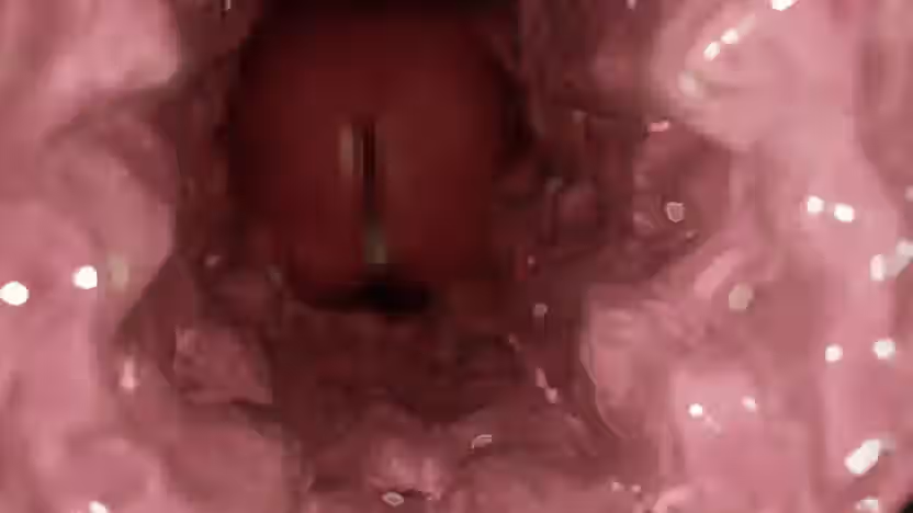 Inui (Shirakawa777) Rule 34 Video