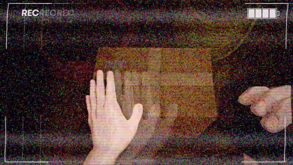Jane Doe (Zenless Zone Zero) Rule 34 Video